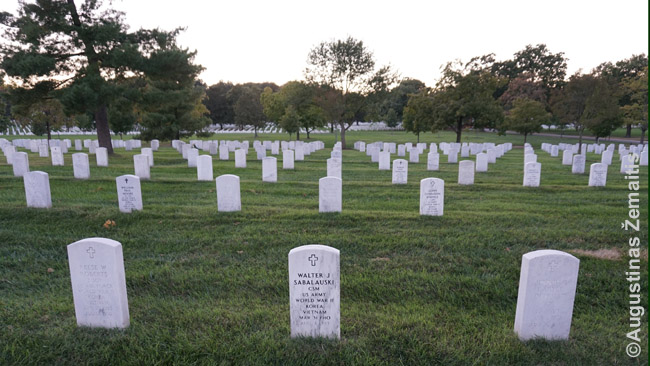 Vladislovo Sabaliausko kapas vienodų Arlingtono kapų eilėse
