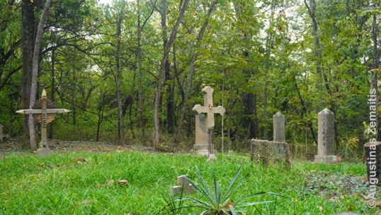 Ledford Lithuanian Cemetery after the cleaning works