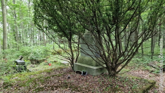 Apleistos senosios Mahanojaus lietuvių kapinės