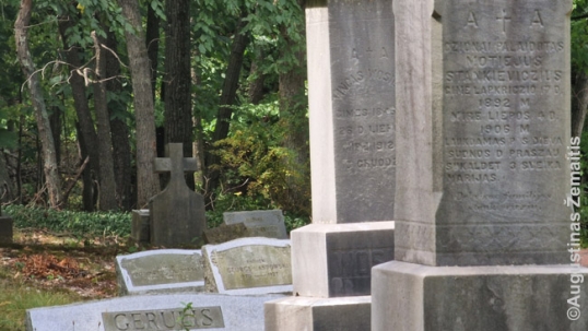 Senosios Mergelės Marijos lietuvių kapinės Vanamyje