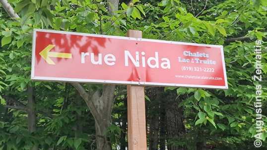Nida driveway near the Lithuanian named chalets