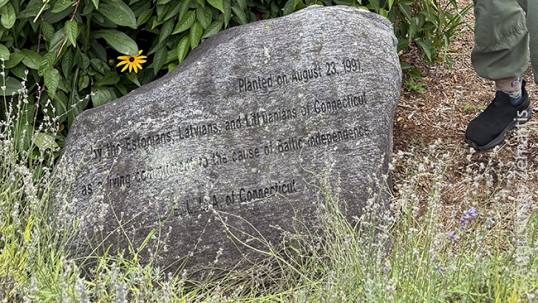 Baltic Freedom Tree and memorial stone